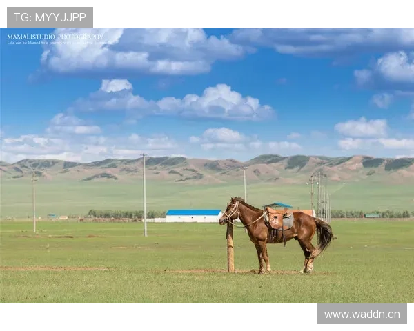 人工草场影响比赛判罚吗？规则如何界定场地因素