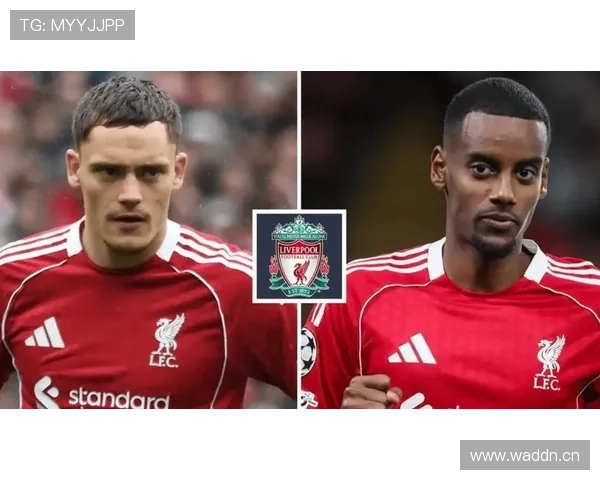 伊萨克英超赛场表现拆解 是否达到顶级前锋标准