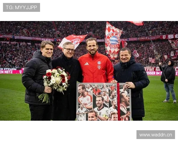 凯恩与莱万：顶级中锋稳定性差距解析