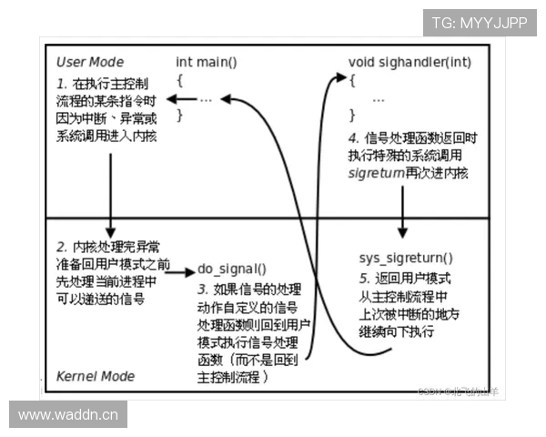 技术犯规处罚规则详解，教你如何正确判罚与技术犯规申诉流程
